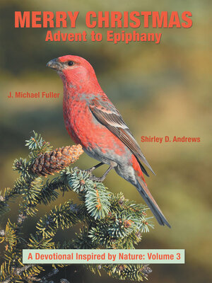 cover image of Merry Christmas  Advent to Epiphany